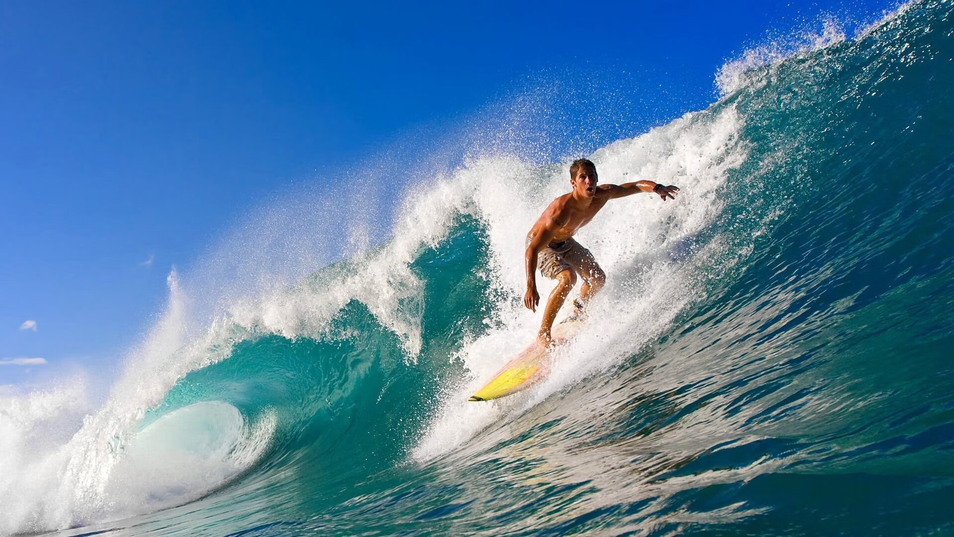 Palmer决赛冷静表现彰显大赛经验