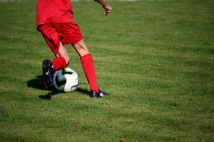 jiuyou入口-CBA球队完善伤病防护体系保障运动员健康和职业生涯，cba球员伤情报告